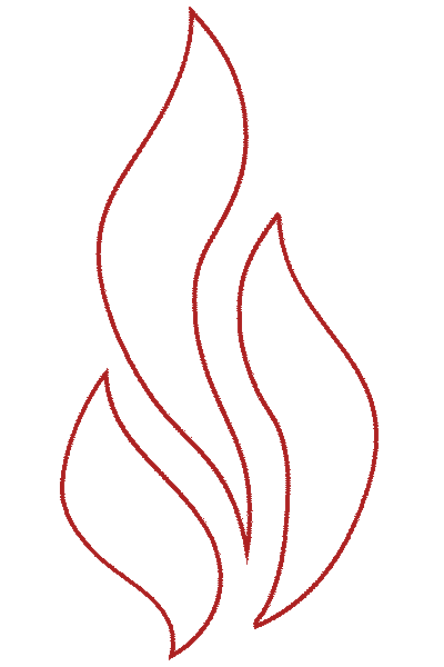 FireGold - Oldřich Zima